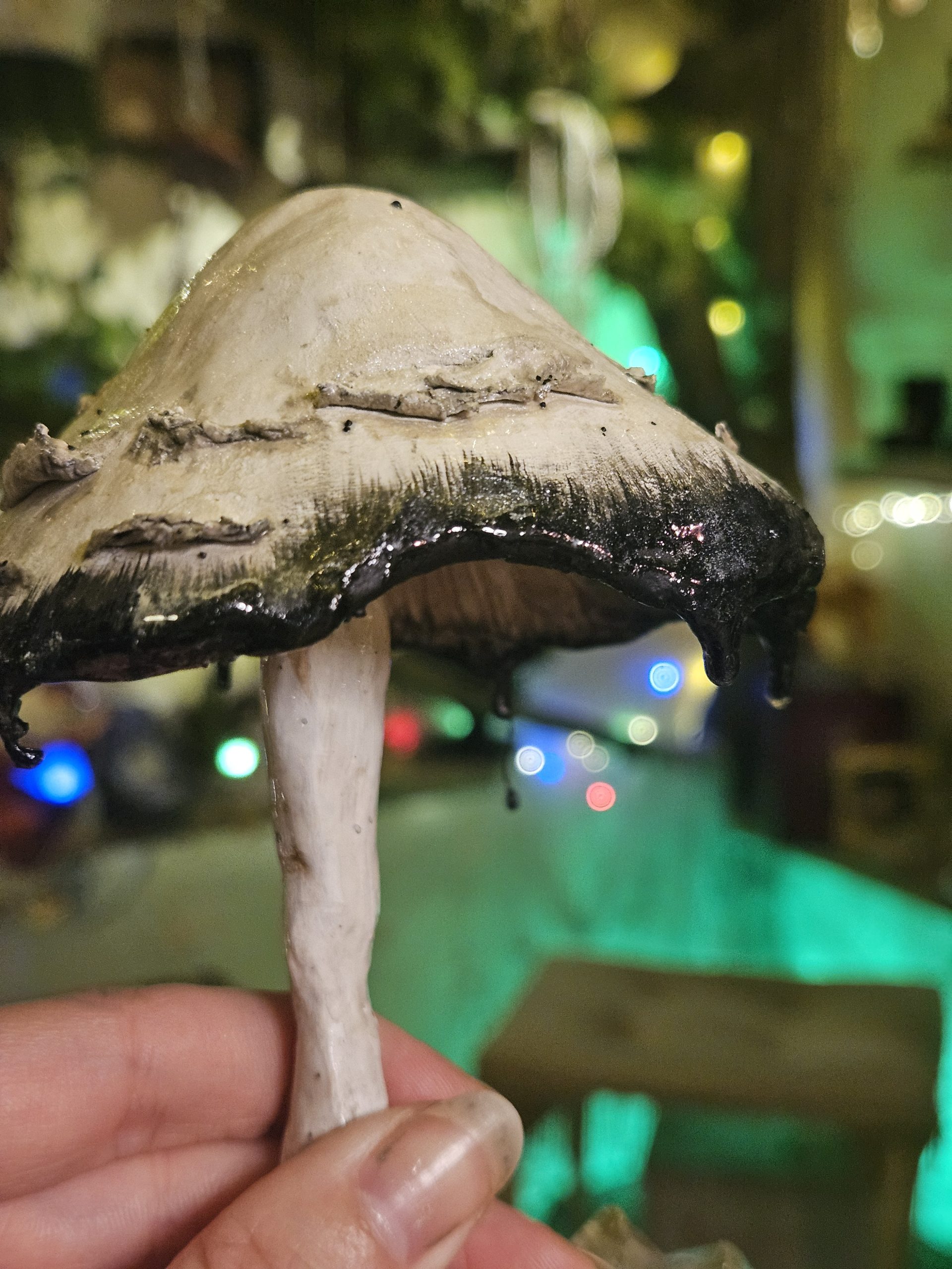 Shadowcap ~ Shaggy Ink Cap Handmade Mushroom Crystal Sculpture - Image 2